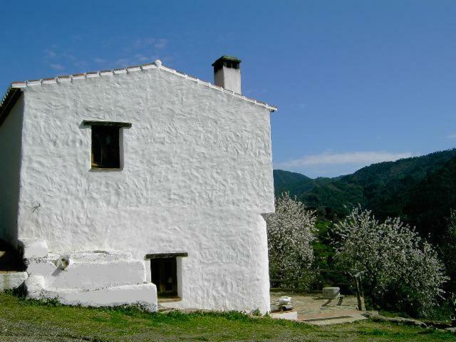 Molino El Pinillo Villa Jubrique ภายนอก รูปภาพ