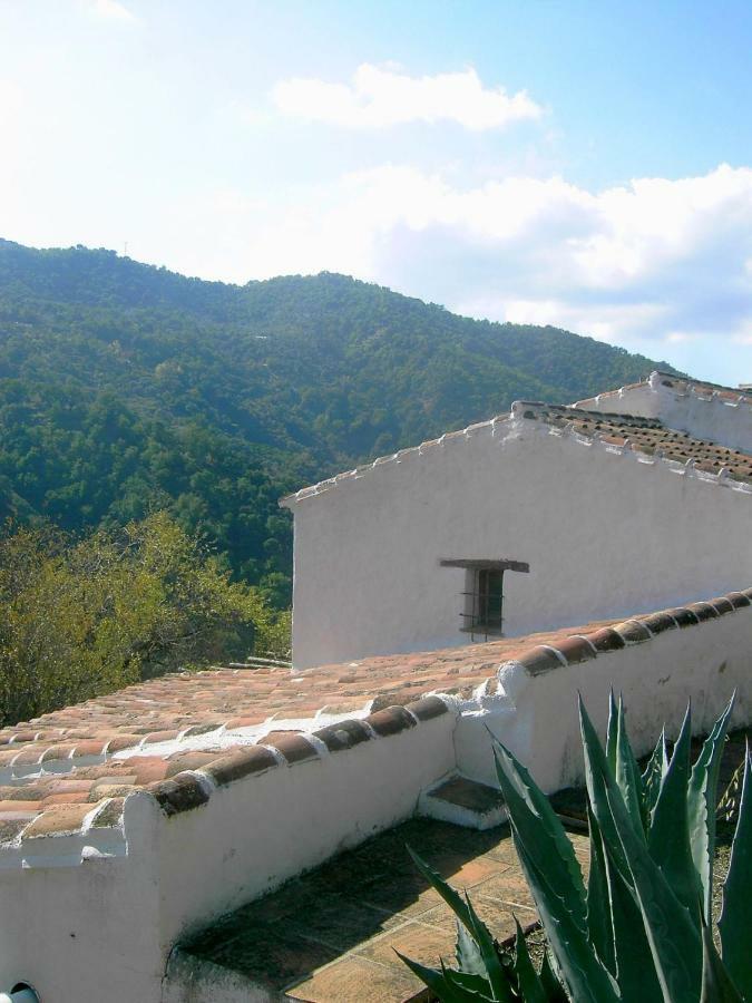 Molino El Pinillo Villa Jubrique ภายนอก รูปภาพ