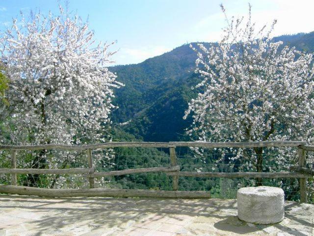 Molino El Pinillo Villa Jubrique ภายนอก รูปภาพ